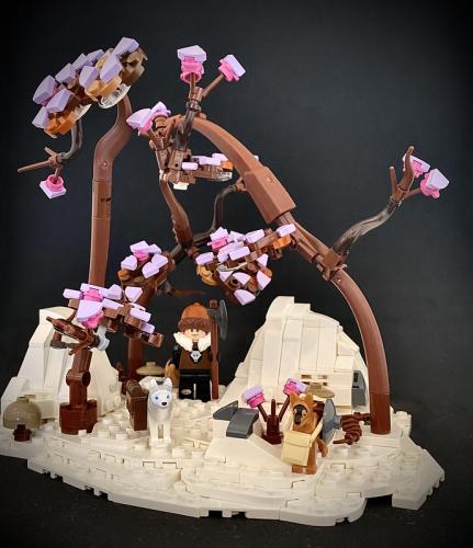 "Winter blossoms" - Tom De Kesel