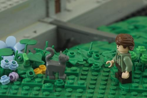 "The boy and his cat" - sokaha