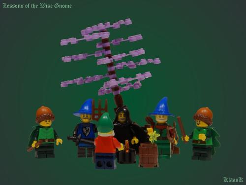 "Lessons of the Wise Gnome" - Klass de Wit