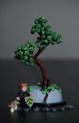 Paper beats Rock – Carson the Craftsman