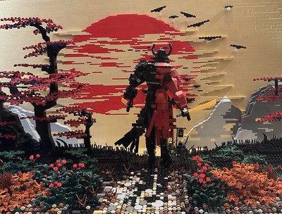 "Samurai" - Toger