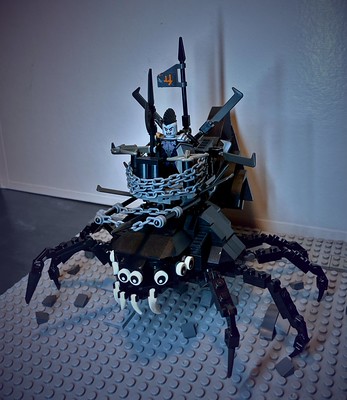 Wolf Spider – Math Wizard's Brother